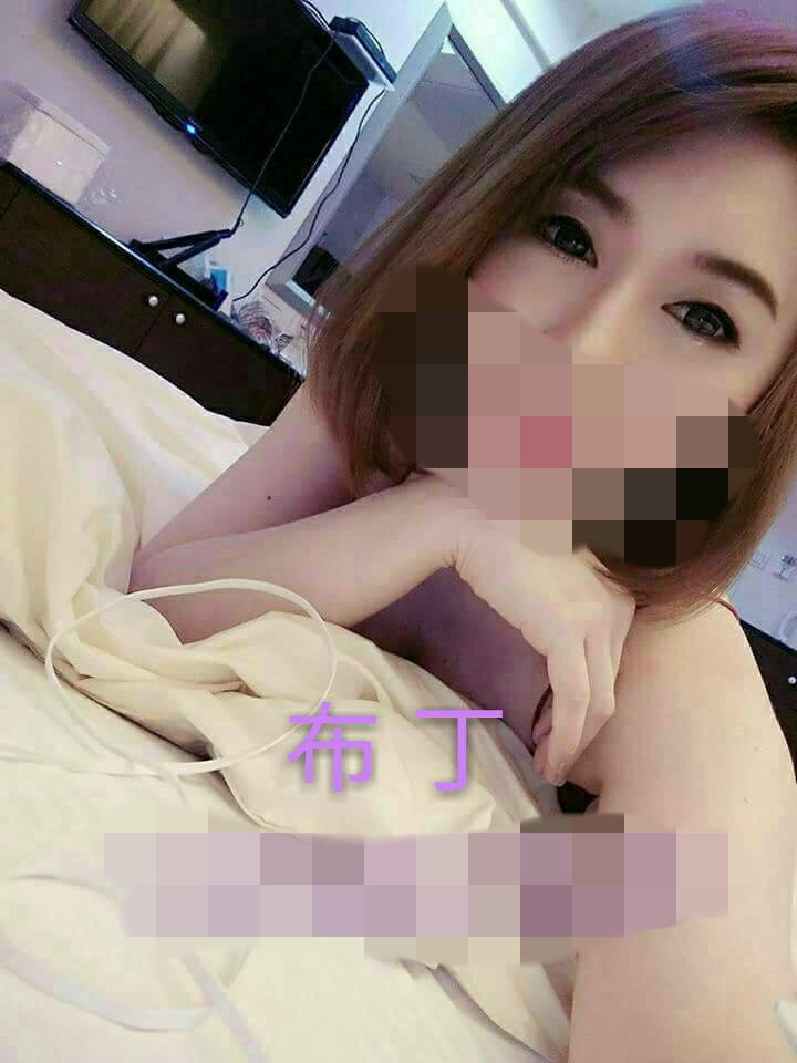 布丁T3.jpg
