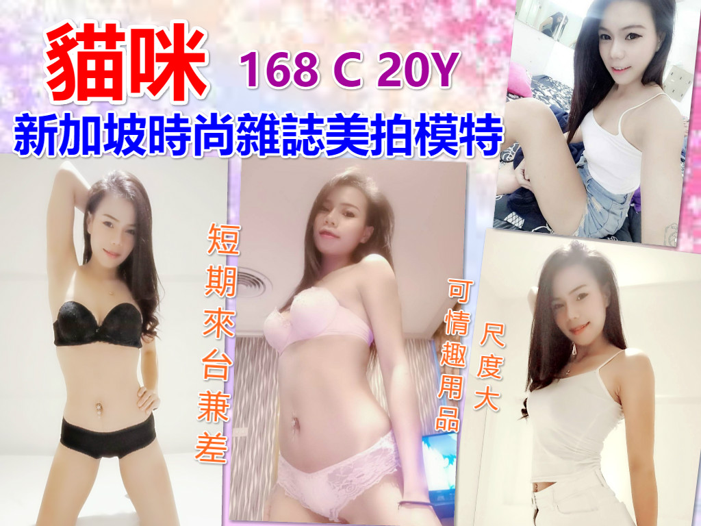 貓咪.jpg