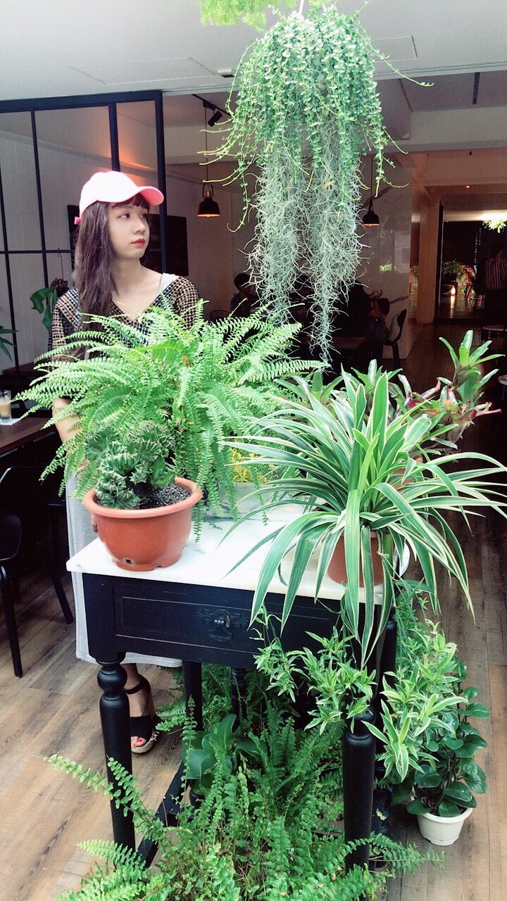 S__3620868.jpg