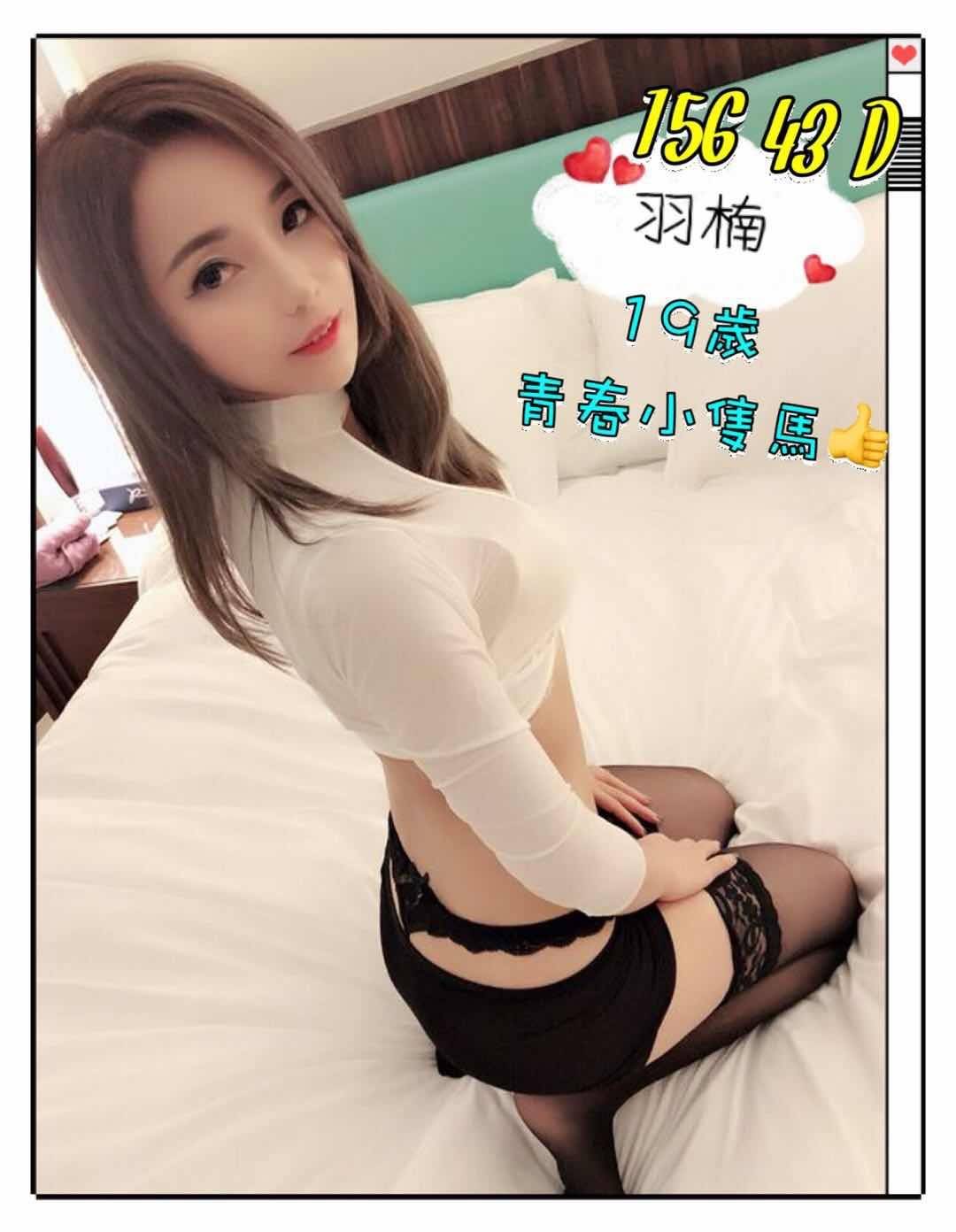 羽楠1.jpg
