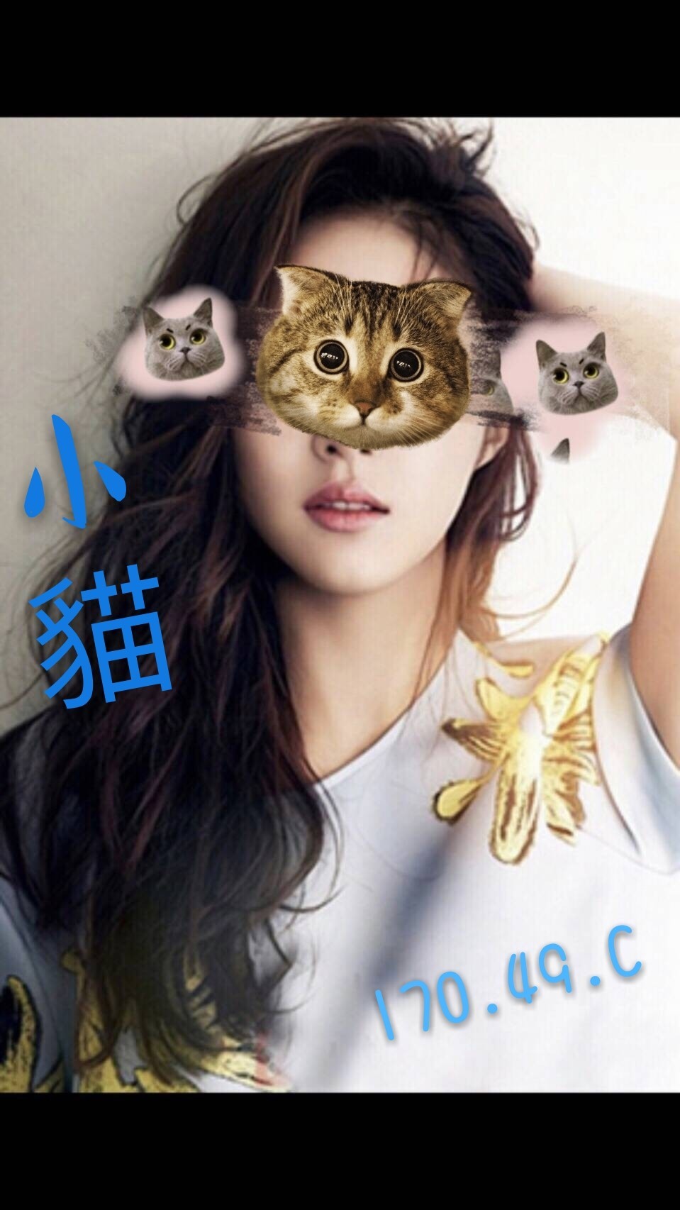 小貓 17049C_181201_0001.jpg