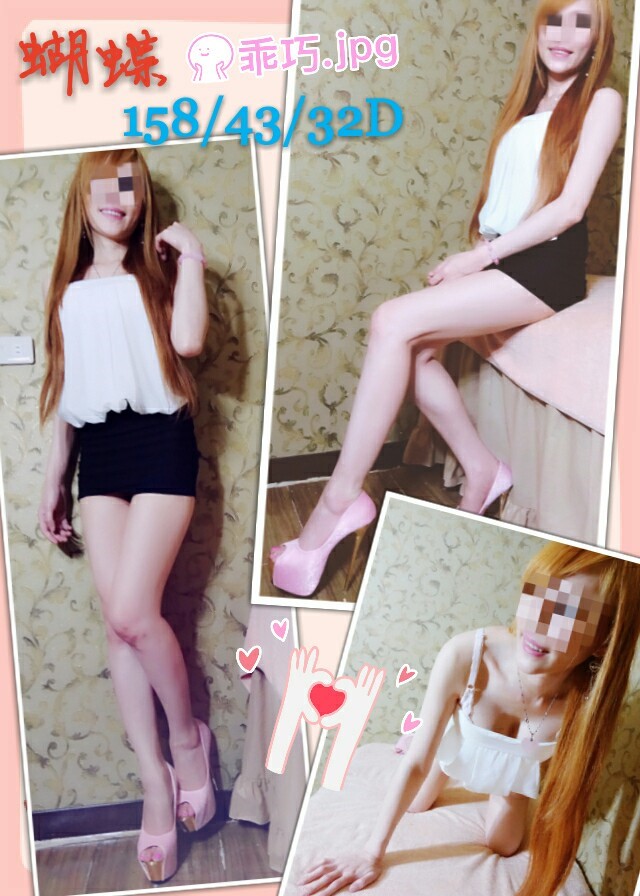 蝴蝶 1534832D(晚)_170824_0001.jpg