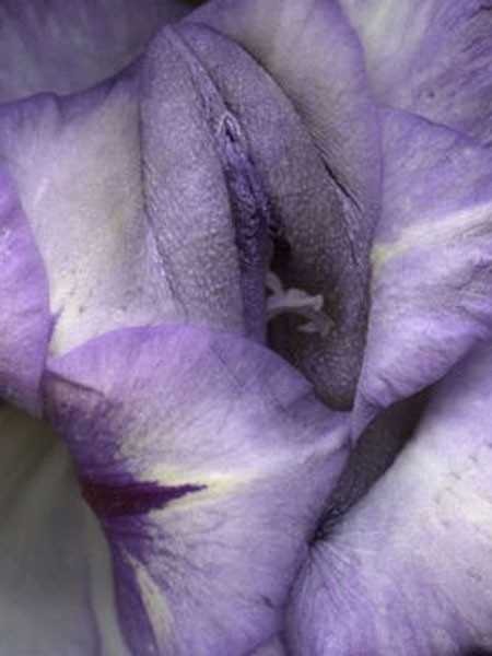 68_600_1000.jpg