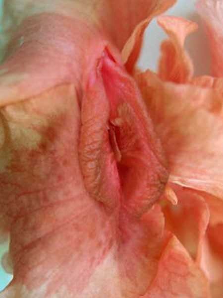 68_600_1000.jpg