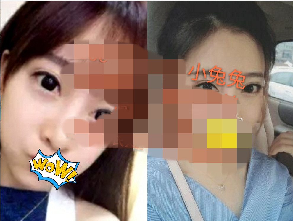 小兔兔4411055.jpg