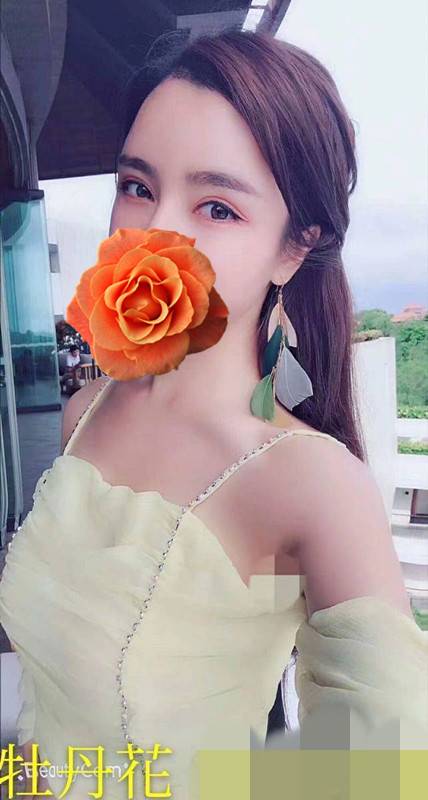 牡丹花 12.jpg