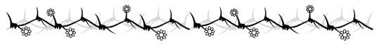 分隔線.png