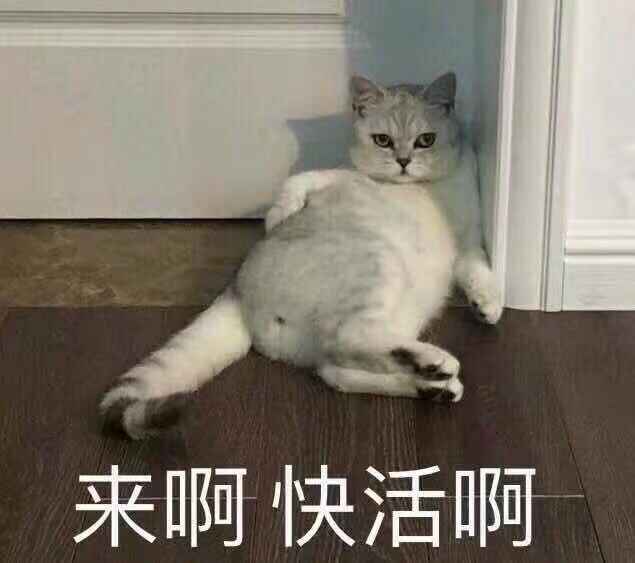 WeChat 圖片_20200212123522.jpg