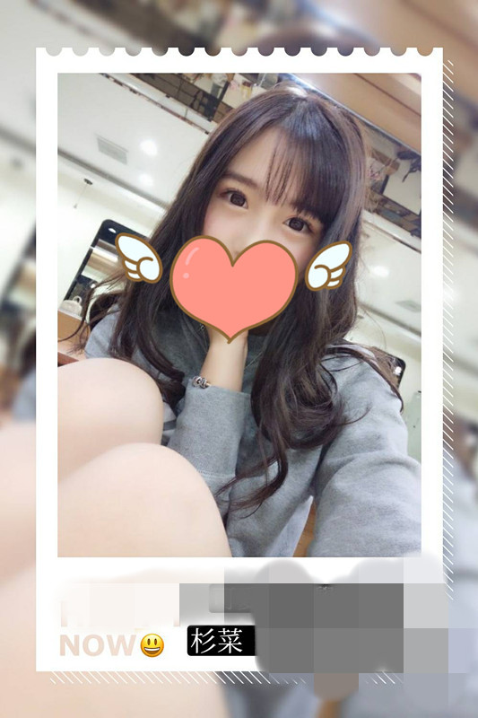 杉菜115088.jpg