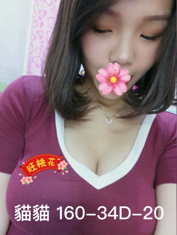 貓貓6.jpg