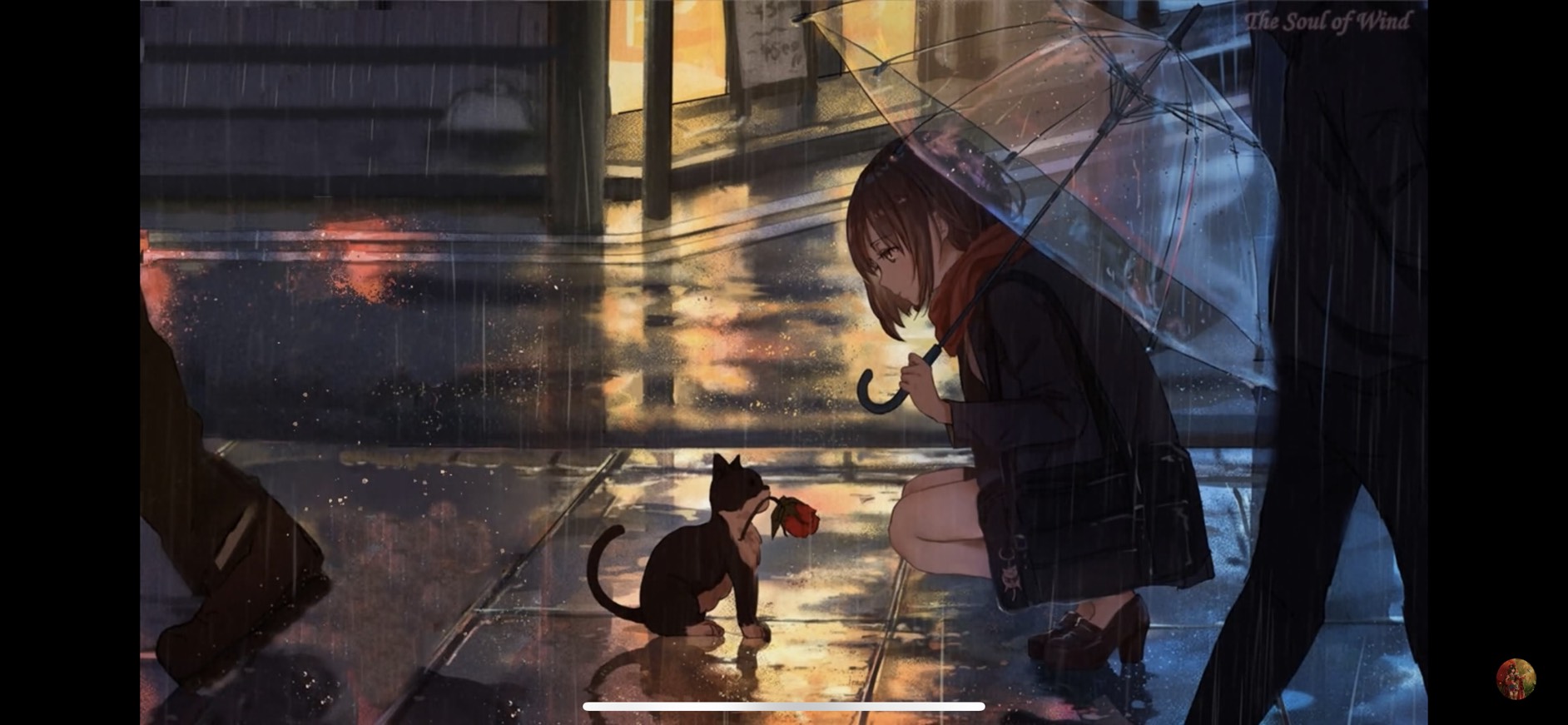 S__27164680.jpg