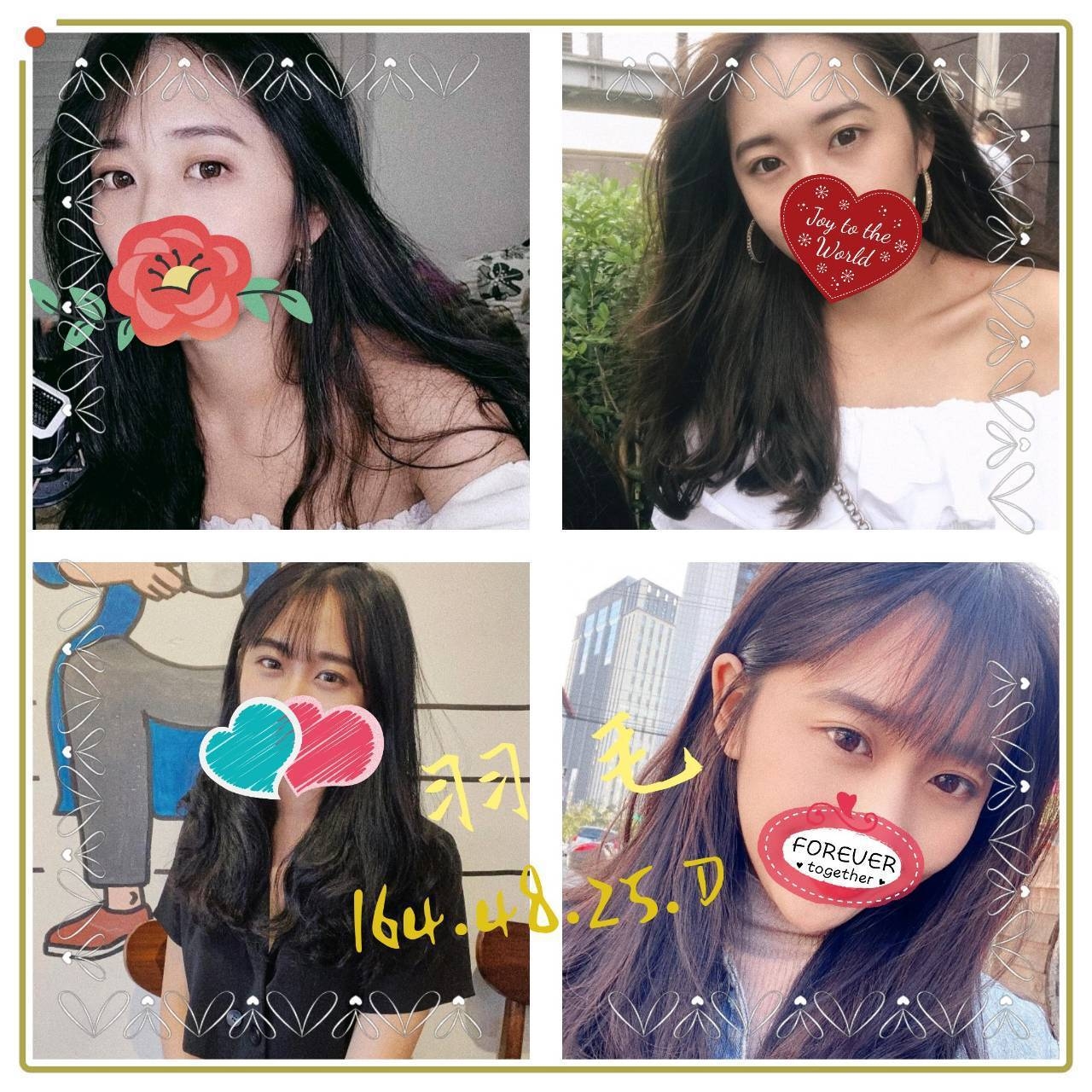 羽毛.jpg