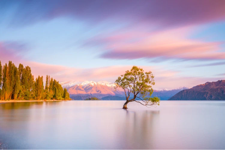 shutterstock_1028852338.png shutterstock_1028852338.png