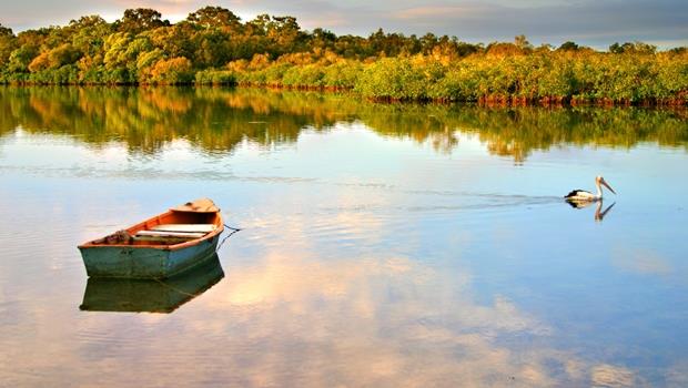 4393cd6019ee47fa273e993d62e57ca8_620.jpg 4393cd6019ee47fa273e993d62e57ca8_620.jpg