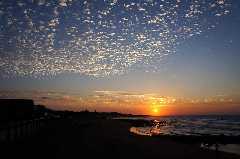 1 (467).jpg