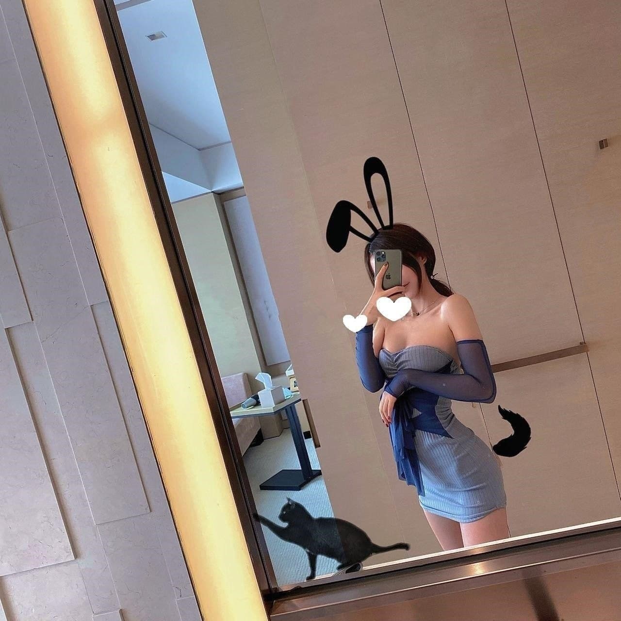 蚊子照片 (9).jpg