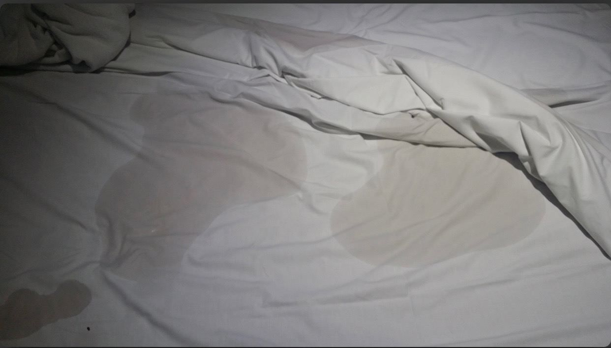AAB15104-DC6D-4B45-BBDC-0D71CB63FF9A.jpeg