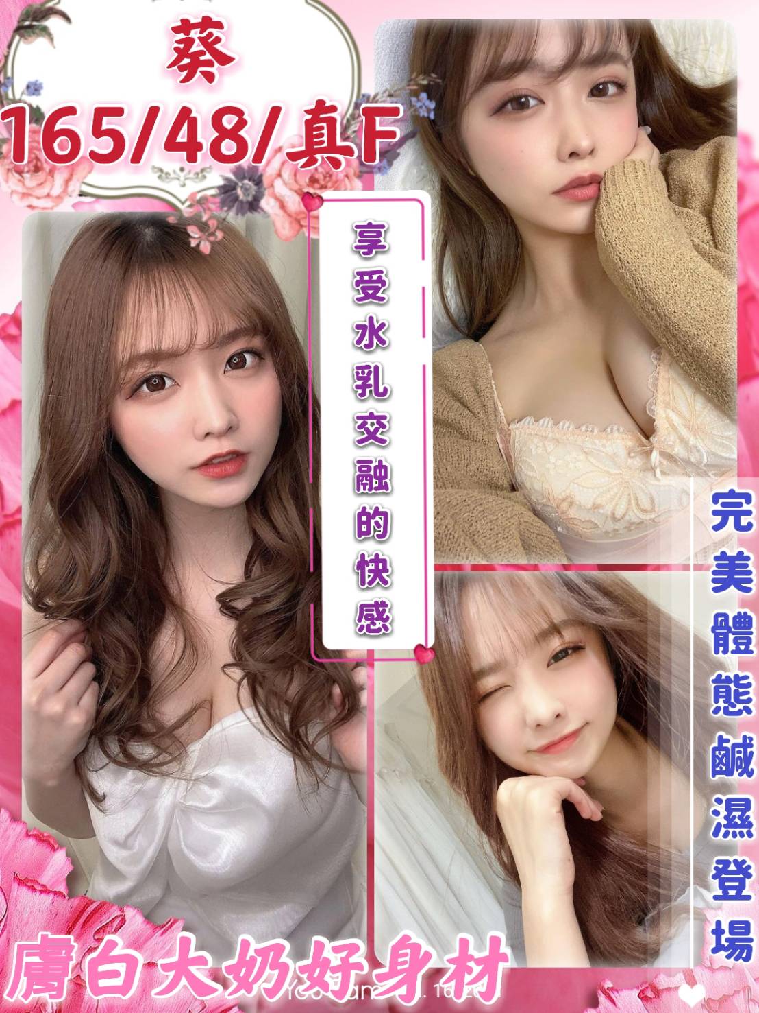 葵V3.3.jpg