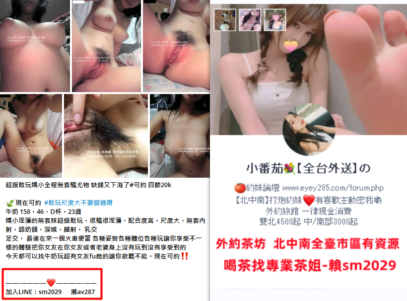 加賴sm2029 (4).png