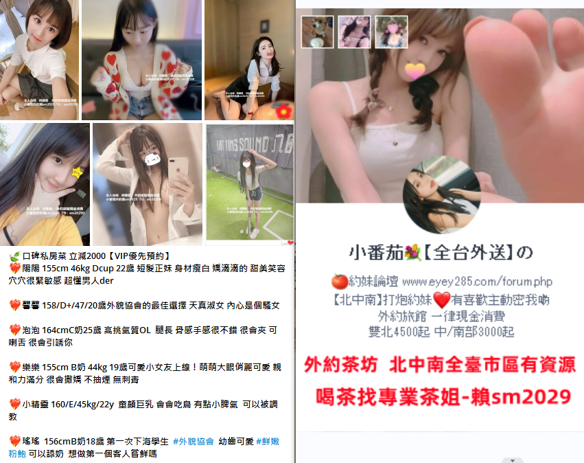加賴sm2029 (15).png