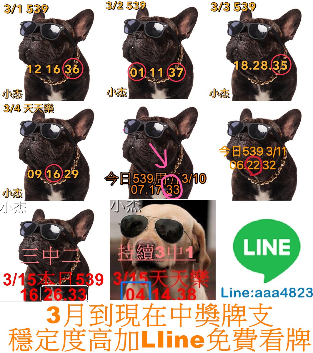 321.jpg