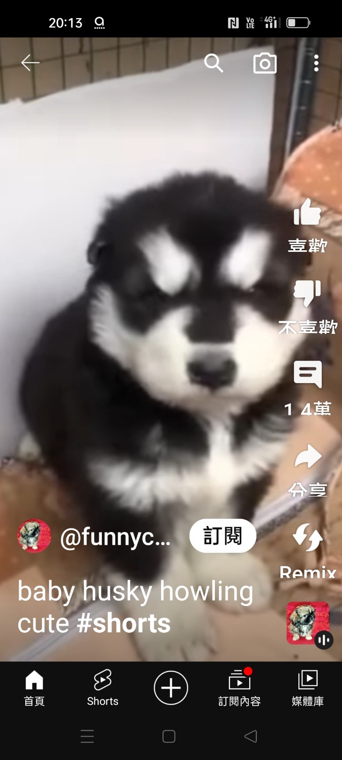 Screenshot_2023-11-05-20-13-54-33_f9ee0578fe1cc94de7482bd41accb329.jpg