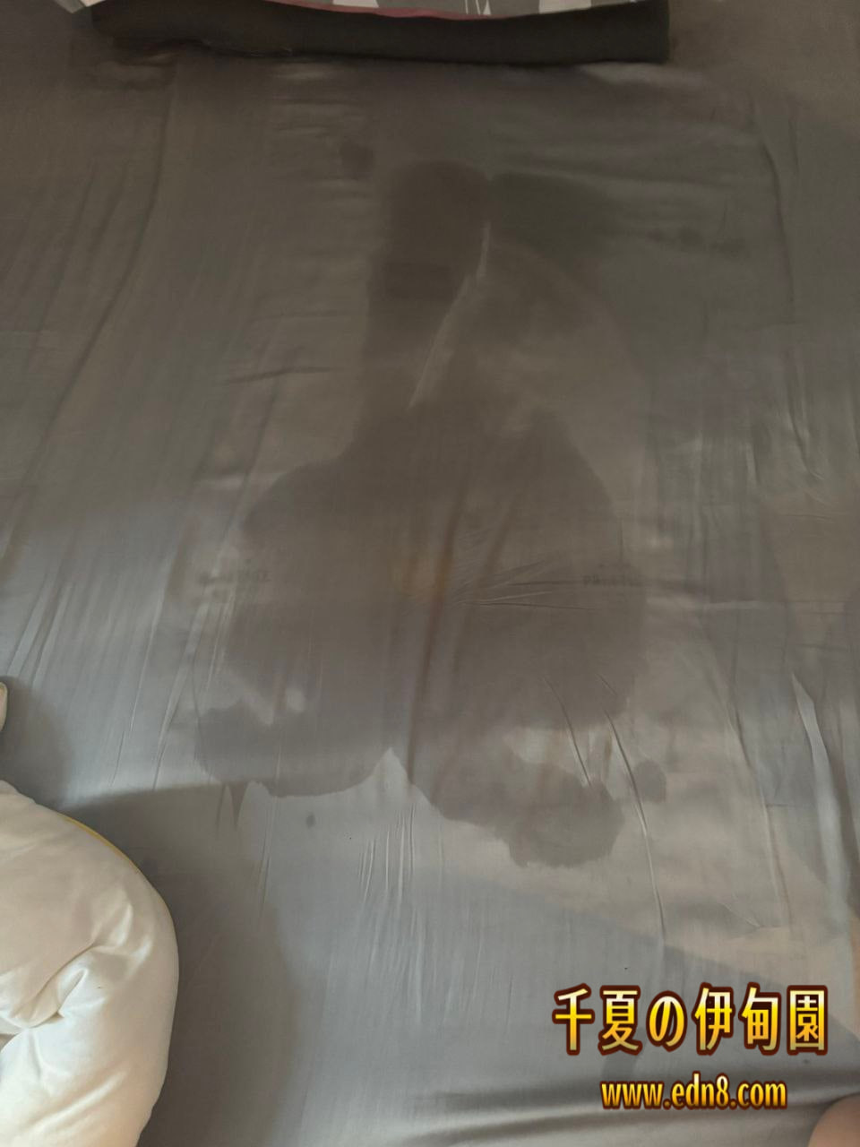 photo_2025-07-15_20-35-33 (4).jpg