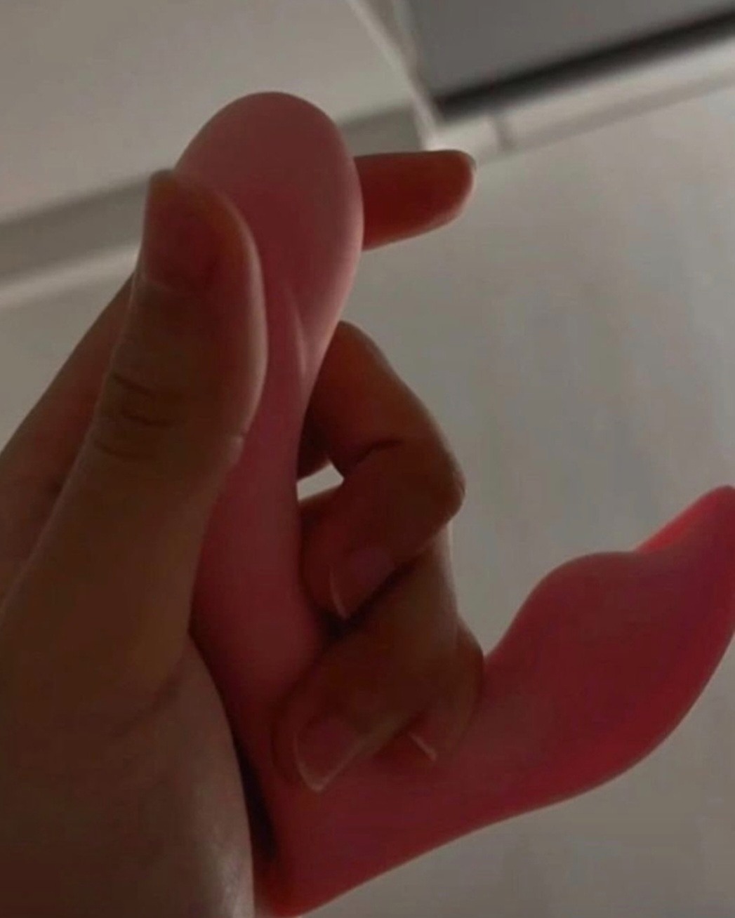 1000055088.jpg