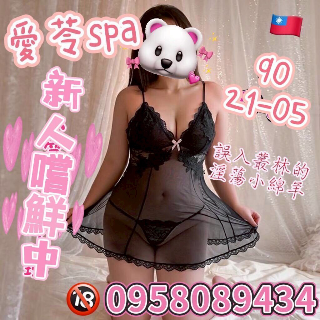 S__2532146.jpg