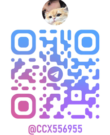 螢幕擷取畫面 2025-09-26 002734.png