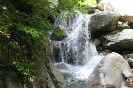 大溪神牛觀光區