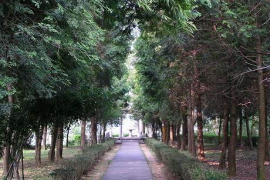 複興角板山公園