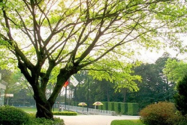 越秀公園（越秀山）