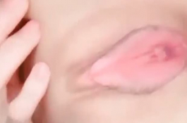 粉嫩又肥厚的頂級鮑..
