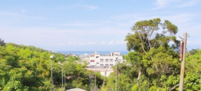 小琉球環島。 靜謐淺海 小漁港相遇海龜 BBQ吃到飽